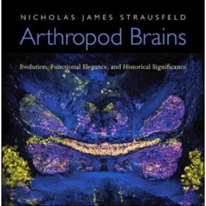 ARTHROPOD BRAINS. EVOLUTION, FUNCTIONAL ELEGANCE, AND HISTORICAL SIGNIFICANCE