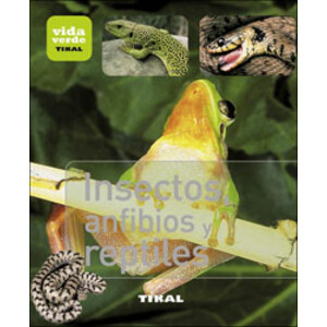 INSECTOS, ANFIBIOS Y REPTILES