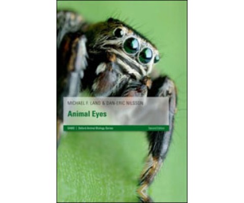 ANIMAL EYES