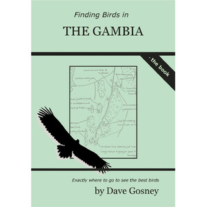 FINDING BIRDS IN THE GAMBIA