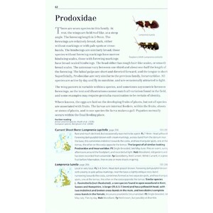 FIELD GUIDE TO THE MICRO-MOTHS OF GREAT BRITAIN AND IRELAND_1