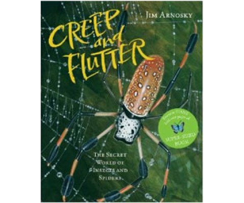 CREEP AND FLUTTER