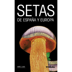 SETAS DE ESPAÑA Y EUROPA