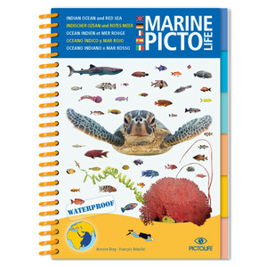 MARINE PICTOLIFE. INDIAN OCEAN AND RED SEA