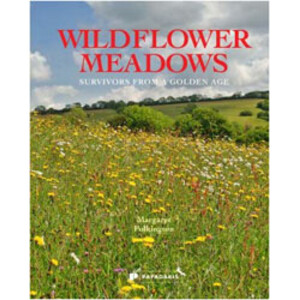 WILDFLOWERS MEADOWS. SURVIVORS FROM A GOLDEN AGE