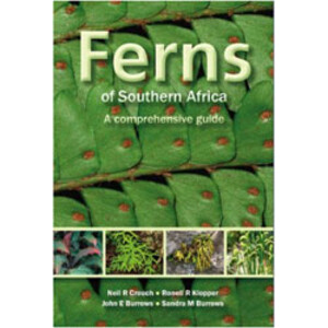 FERNS OF SOUTHERN AFRICA. A COMPREHENSIVE GUIDE