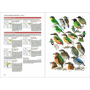 BIRDS OF SOUTH ASIA. THE RIPLEY GUIDE. 2 VOLUME SET 3