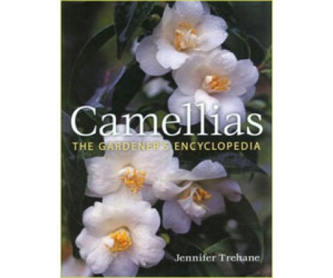CAMELLIAS. THE GARDENER'S ENCYCLOPEDIA