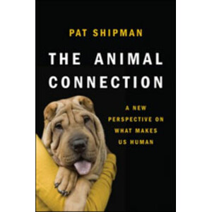 THE ANIMAL CONNECTION: A NEW PERSPECTIVE ON WHAT MAKES US HUMAN