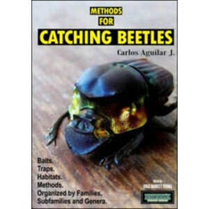 METHODS FOR CATCHING BEETLES