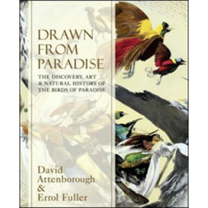 DRAWN FROM PARADISE