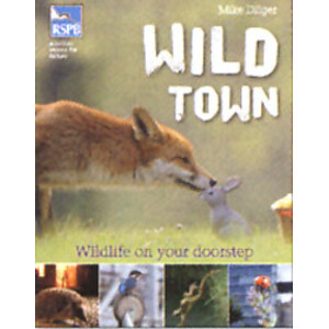 WILD TOWN