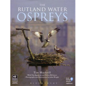 THE RUTLAND WATER OSPREYS
