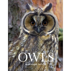 OWLS 1