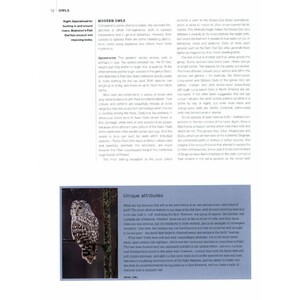 OWLS 4
