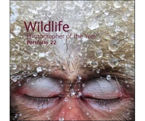 WILDLIFE PHOTOGRAPHER OF THE YEAR. PORTFOLIO 22