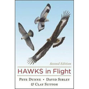 HAWKS IN FLIGHT