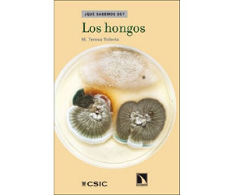 LOS HONGOS ¿QUÉ SABEMOS DE?