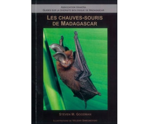 LES CHAUVES-SOURIS DE MADAGASCAR