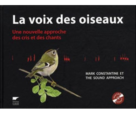 LA VOIX DES OISEAUX