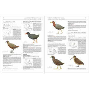 HANDBOOK OF THE BIRDS OF THE WORLD. SPECIAL VOLUME: NEW SPECIES AND GLOBAL INDEX_1