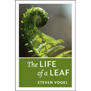 THE LIFE OF A LEAF