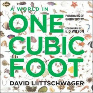 A WORLD IN ONE CUBIC FOOT. PORTRAITS OF BIODIVERSITY
