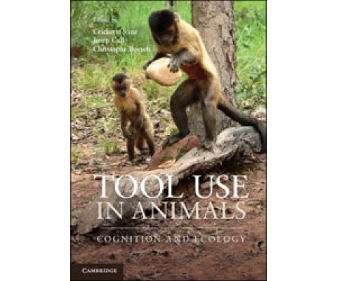 TOOL USE IN ANIMALS. COGNITION AND ECOLOGY