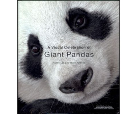 A VISUAL CELEBRATION OF GIANT PANDAS