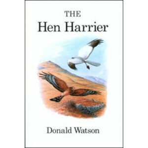THE HEN HARRIER