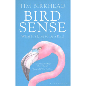 BIRD SENSE. WHAT IT IS LIKE TO BE A BIRD