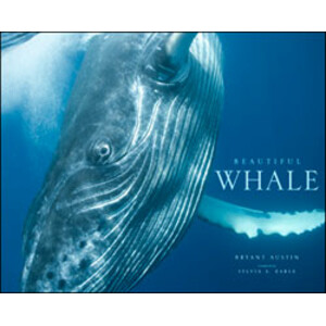 BEAUTIFUL WHALE