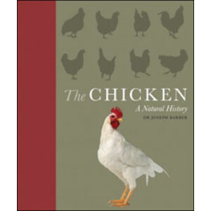 THE CHICKEN. A NATURAL HISTORY