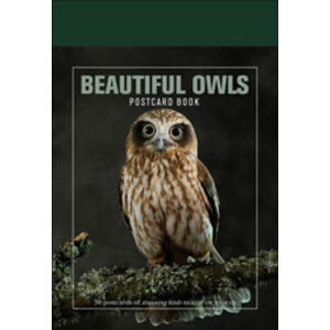 BEAUTIFUL OWLS. POSTCARD BOOK