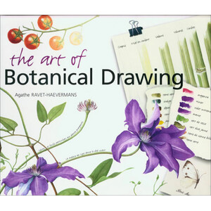 THE ART OF BOTANICAL DRAWING