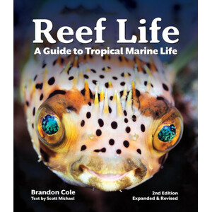REEF LIFE. A GUIDE TO TROPICAL MARINE LIFE