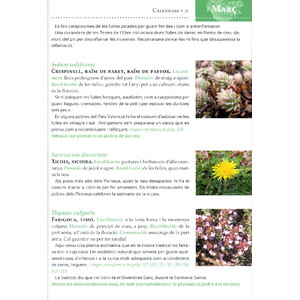 GUIA DEL RECOL·LECTOR. REMEIS I USOS DE LES NOSTRES PLANTES I BOLETS_1