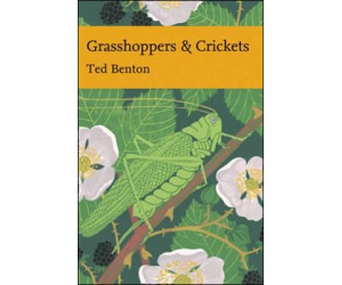 GRASSHOPPERS &AMP; CRICKETS