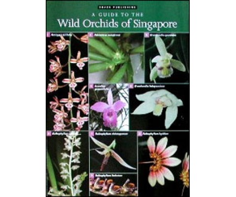 A GUIDE TO THE WILD ORCHIDS OF SINGAPORE
