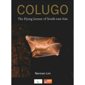 COLUGO. THE FLYING LEMUR OF SOUTH-EAST ASIA
