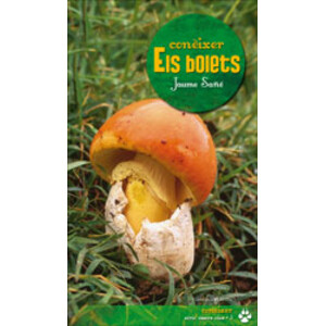 CONÈIXER ELS BOLETS