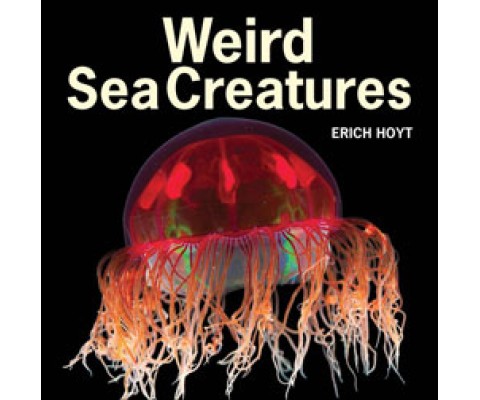 WEIRD SEA CREATURES