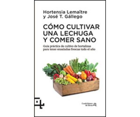 CÓMO CULTIVAR UNA LECHUGA Y COMER SANO