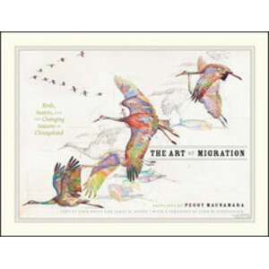 THE ART OF MIGRATION . BIRDS, INSECTS AND THE CHANGING SEASONS IN CHICAGOLAND