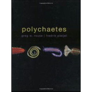POLYCHAETES