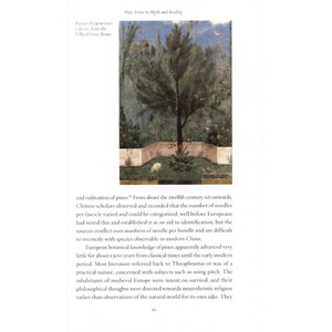 PINE_1