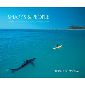 SHARKS AND PEOPLE