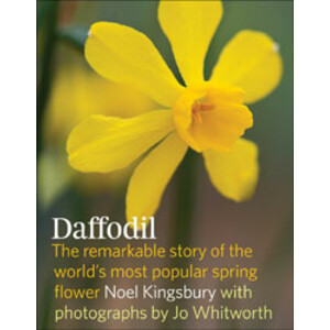 DAFFODIL. THE REMARKABLE STORY OF THE WORLD'S MOST POPULAR SPRING FLOWER