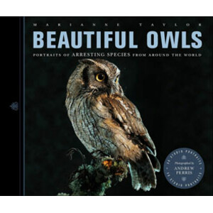 BEAUTIFUL OWLS. PORTRAITS OF ARRESTING SPECIES FROM AROUND THE WORLD