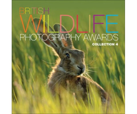 BRITISH WILDLIFE PHOTOGRAPHY AWARDS. COLLECTION 4